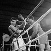 George Foreman Punching Muhammad Ali Poster