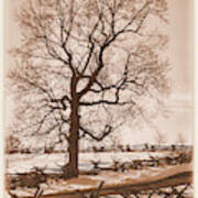Gettysburg At Rest - Winter Blanket No. 1 Across The Wheatfield Road Near The Peach Orchard Poster