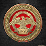 Gold Roman Imperial Eagle Over Red And Gold Medallion On Black Leather Poster