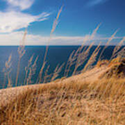 Golden Dune Grass On The Lake Poster