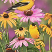 Golden Finches Poster