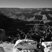 Grand Canyon Black And White Poster