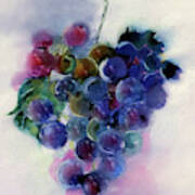 Grape Harvest Watercolor Painting Poster