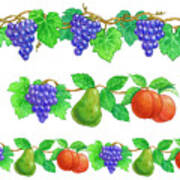 Grapes And Fruit Borders Poster