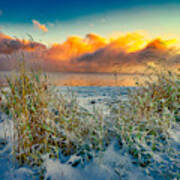 Grass And Snow Sunrise Poster