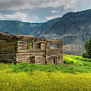 Grasslands Cabin Poster