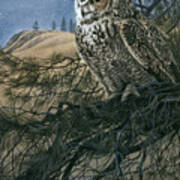 Great Horned Owl 2 Poster