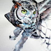 Great Horned Owl F Poster