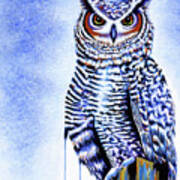 Great Horned Owl In Blue Poster