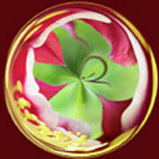 Green And Red Flower Orb Image Poster