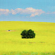 Green Bush In The Middle Of Yellow Sea   Paintography Poster