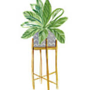 Green House Plants I Poster