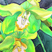 Green Orchids Poster