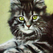 Grey Striped Cat Poster