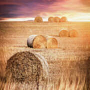 Harvest Hay Bales Scotland Poster