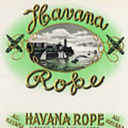 Havana Rope Poster
