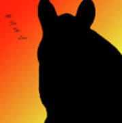 Horse In Silhouette Poster