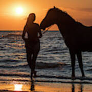 Horse On The Beach Poster