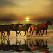 Horses On A Golden Beach At Sunset Poster