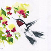 Hummingbird And Flowers Poster