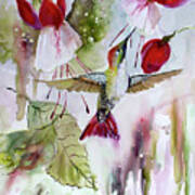 Hummingbird And Flowers Poster