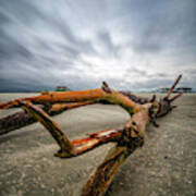 Hurricane Florence Beach Log - Portrait Poster