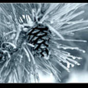Ice Pine Cone 2 Poster