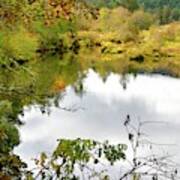 Illinois River Fall Color Poster