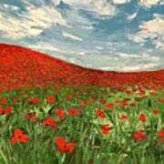 In Flanders Fields The Poppies Blow Poster