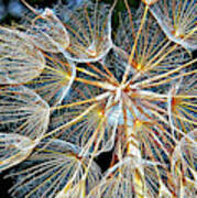 In Praise Of Weeds - Triptych 2 Poster