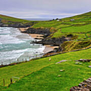 Irish Coastal Pastures Poster