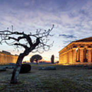 Italy, Campania, Salerno District, Cilento, Paestum, The Hera ( Paestum Basilica) And Neptune Temples. Time Lapse Poster