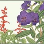 Japanese Garden Vi Poster