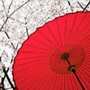 Japanese Umbrella Poster