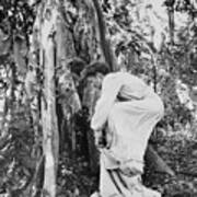 Katharine Hepburn Changing In Jungle Poster