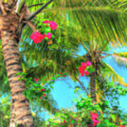 Key West Pink Flowers Palm Poster
