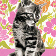 Kitten On A Floral Background Poster