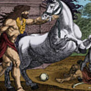 Labors Of Hercules, Steal The Mares Poster
