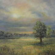 Landscape Of A Meadow With Sun And Trees Poster