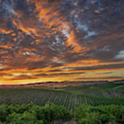 Late August Sky, Paso Robles Wine Country Poster