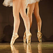 Legs Of Ballerinas - Balet Background Poster