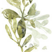 Lichen & Leaves I Poster