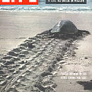 Life Cover: February 8, 1954 Poster