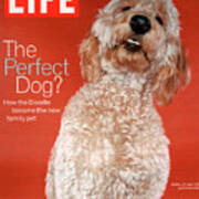 Life Cover: October 8, 2004 Poster