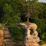 Life Will Find A Way - Pine Tree Atop Chapel Rock At Pictured Rocks National Lakeshore With Bald Eag Poster