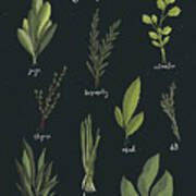Light Green Herbs I Black Poster