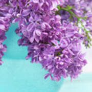 Lilacs In Blue Vase Iv Poster