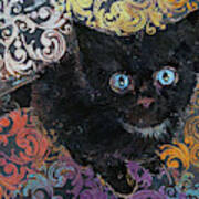 Little Black Kitten Poster