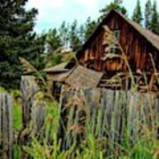 Little Cabin Black Hills Poster