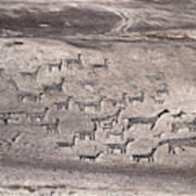 Llama Geoglyphs At Tiliviche Chile Poster